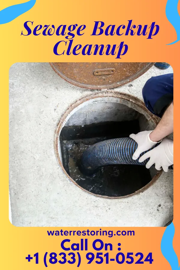 Sewage Backup Cleanup in New Hamburg, MO