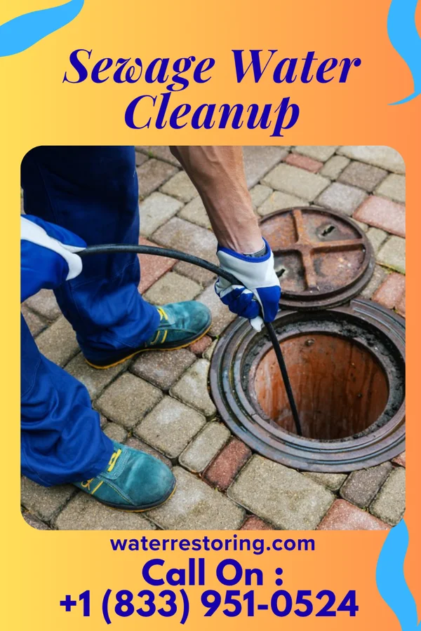 Sewage Water Cleanup in New Hamburg, MO
